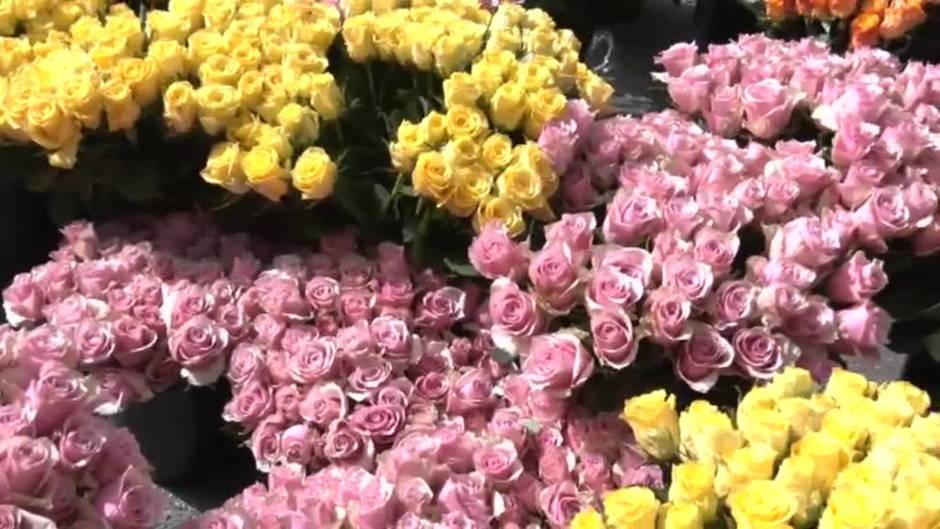 Sevilla da la bienvenida a la primavera con una 'guerrilla' de 20.000 rosas