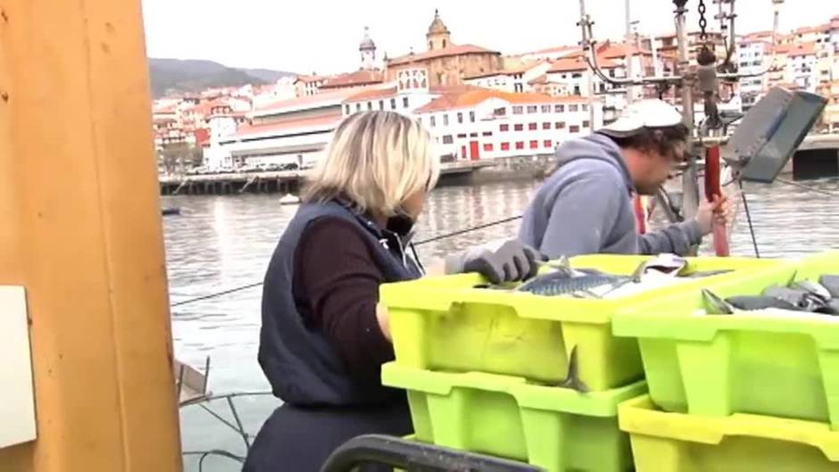 Los pescadores vuelven a faenar