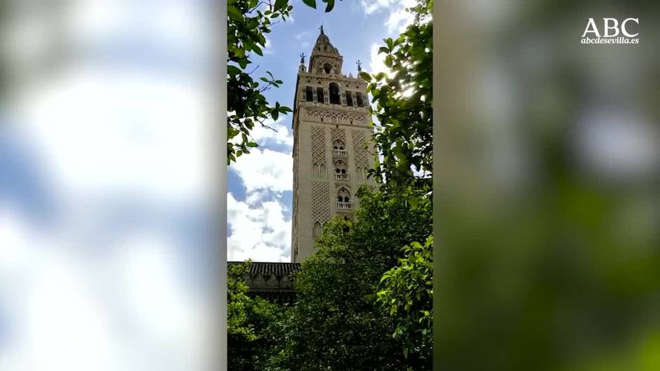 Las campanas de la Giralda tañen de luto por la muerte del cardenal Amigo Vallejo