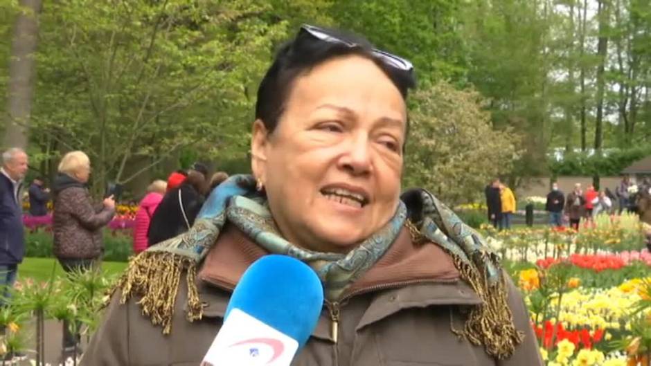 Países Bajos luce estos días todo el esplendor primaveral de los tulipanes