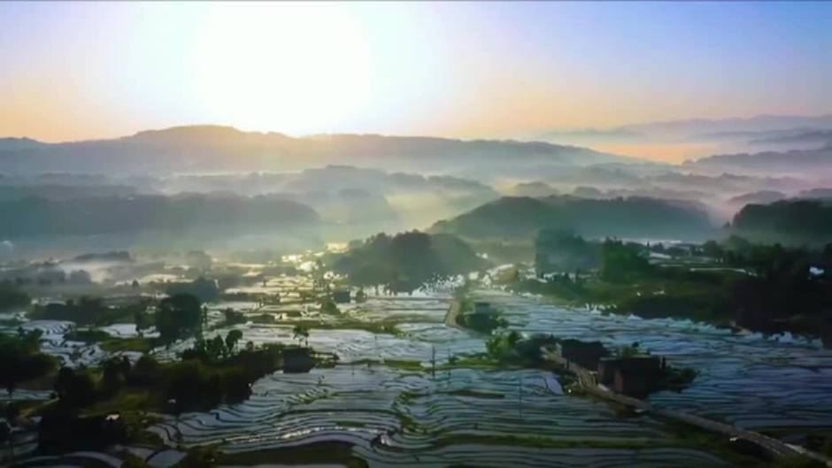 La primavera tiñe de color el turismo en China