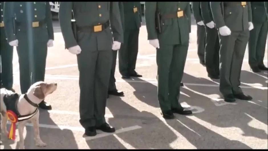 Acto de conmemoración del 178° aniversario de la fundación de la Guardia Civil en Cádiz