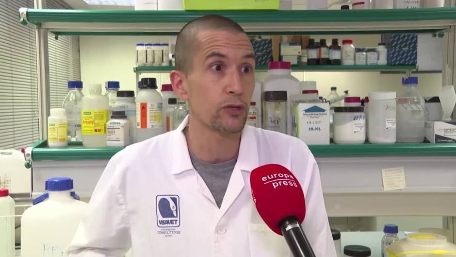 Investigador considera razonable que se compren vacunas contra la viruela del mono