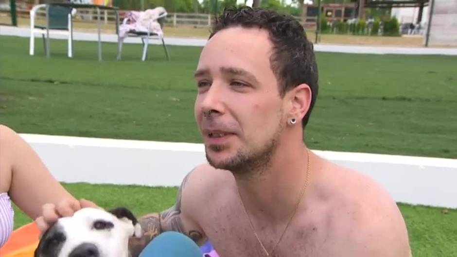 Los perros también tienen vacaciones