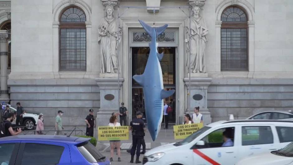 Greenpeace cuelga un tiburón ante el Ministerio de Pesca para denunciar su pesca descontrolada