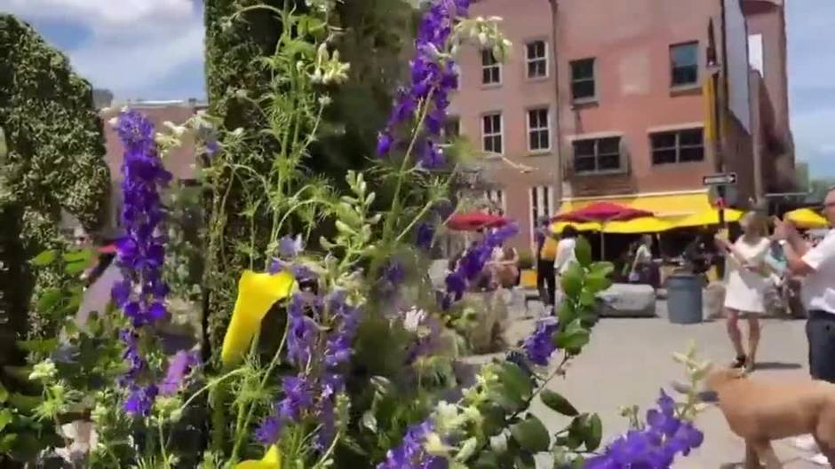 Un millón de flores lleva la alegría a las calles de Manhattan