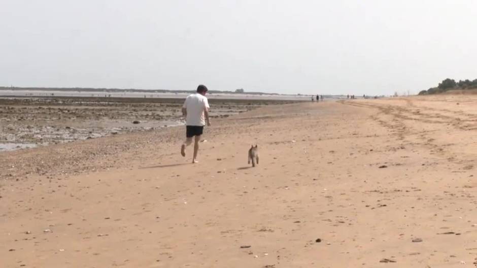 Paseos junto al mar, casa y familia, opciones de los candidatos en la jornada de reflexión