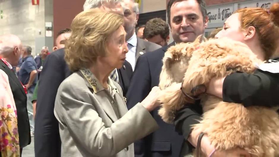 Las imágenes más tiernas de Doña Sofía en un evento canino