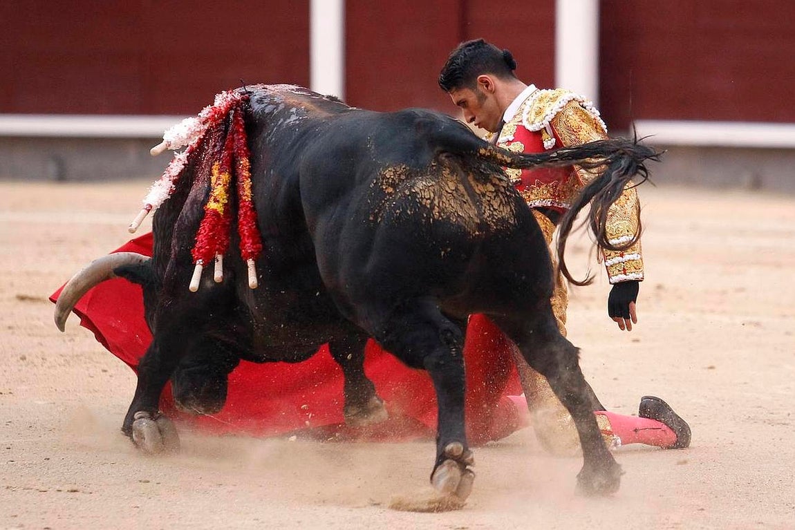 El año mágico de Talavante