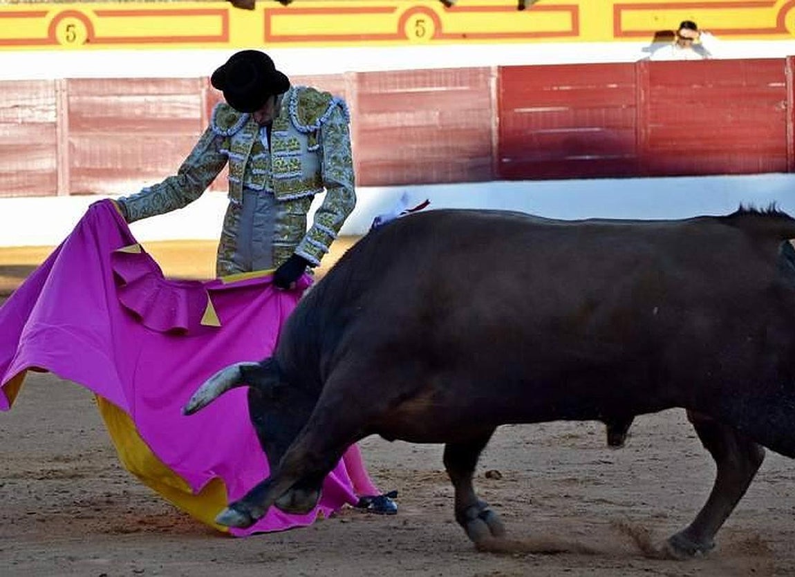 El año mágico de Talavante