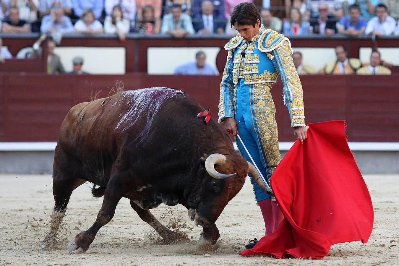 La temporada fantástica de Sebastián Castella, con cumbre en Madrid, foto a foto