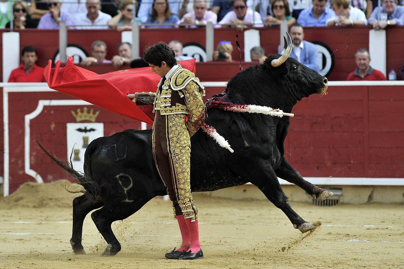 La temporada fantástica de Sebastián Castella, con cumbre en Madrid, foto a foto