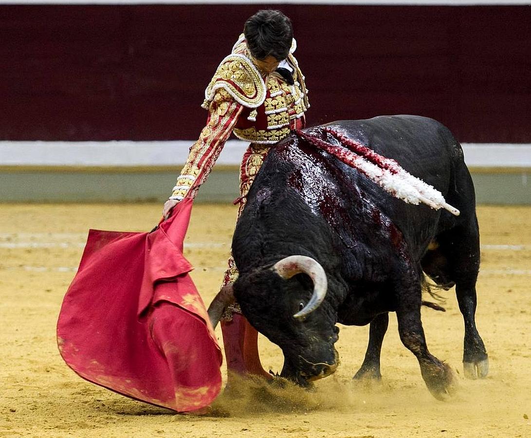 La temporada fantástica de Sebastián Castella, con cumbre en Madrid, foto a foto