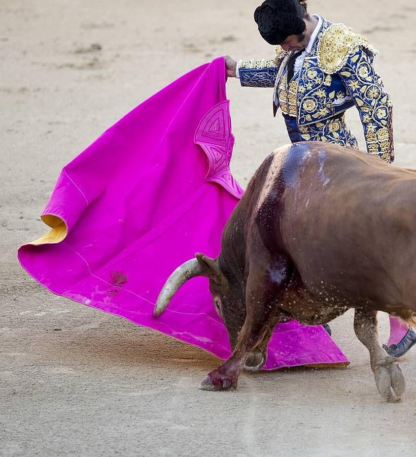 La cosecha 2015 de Morante, foto a foto