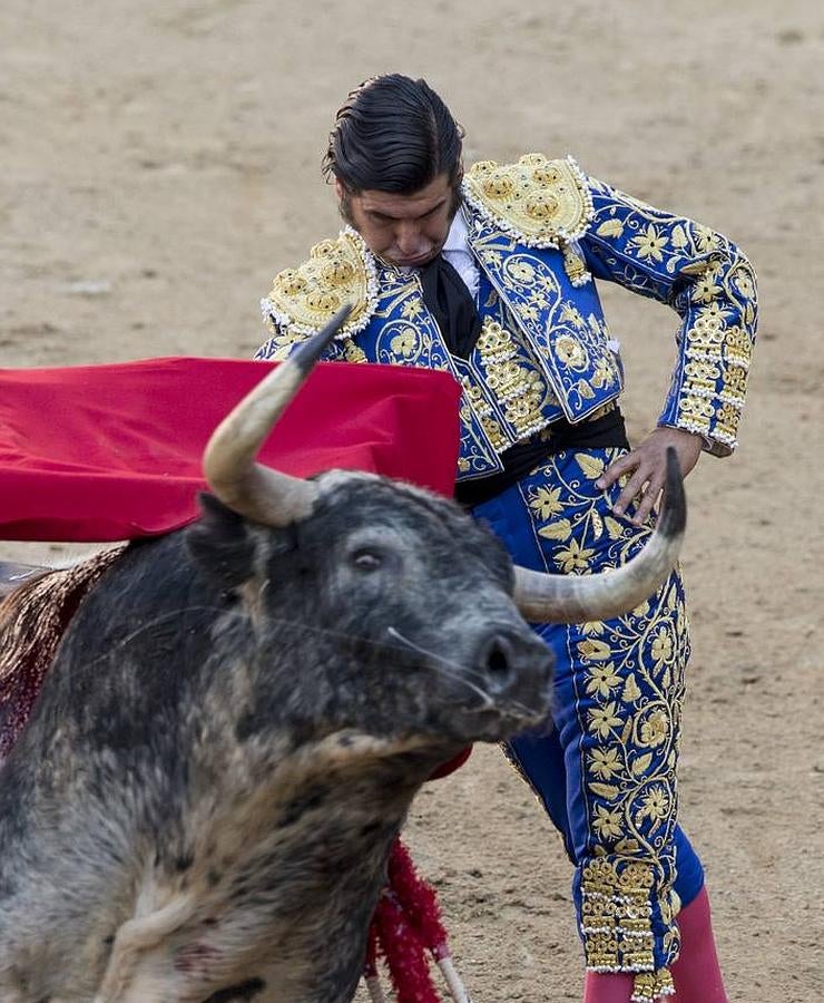 La cosecha 2015 de Morante, foto a foto