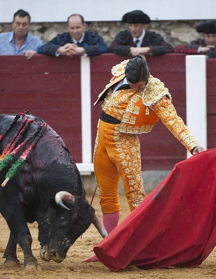 La cosecha 2015 de Morante, foto a foto