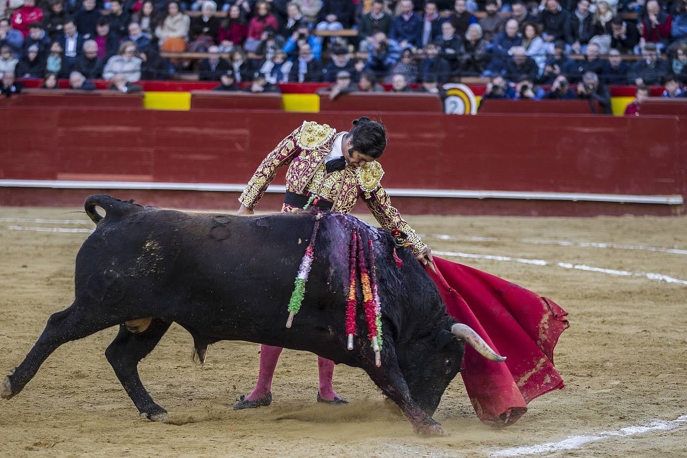 La cosecha 2015 de Morante, foto a foto