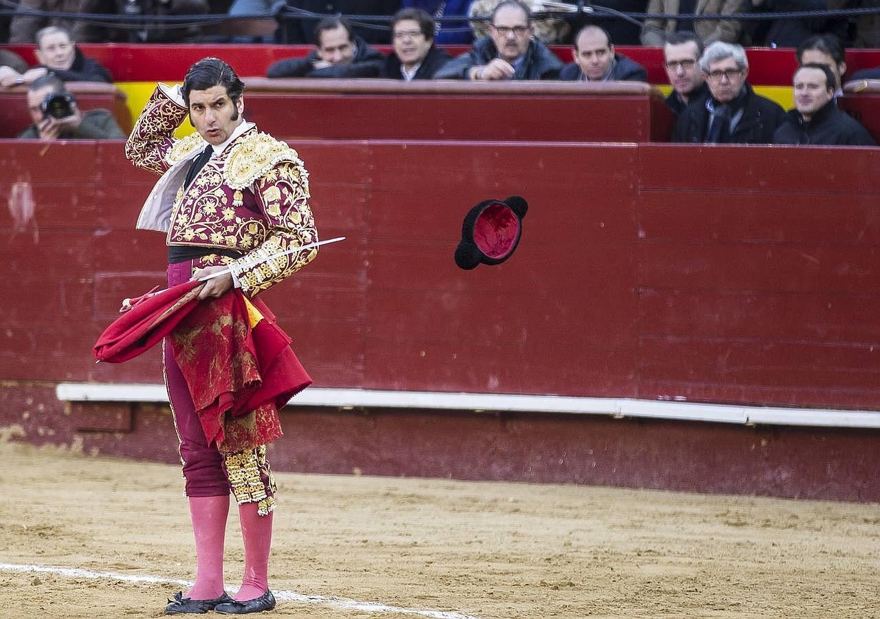 La cosecha 2015 de Morante, foto a foto