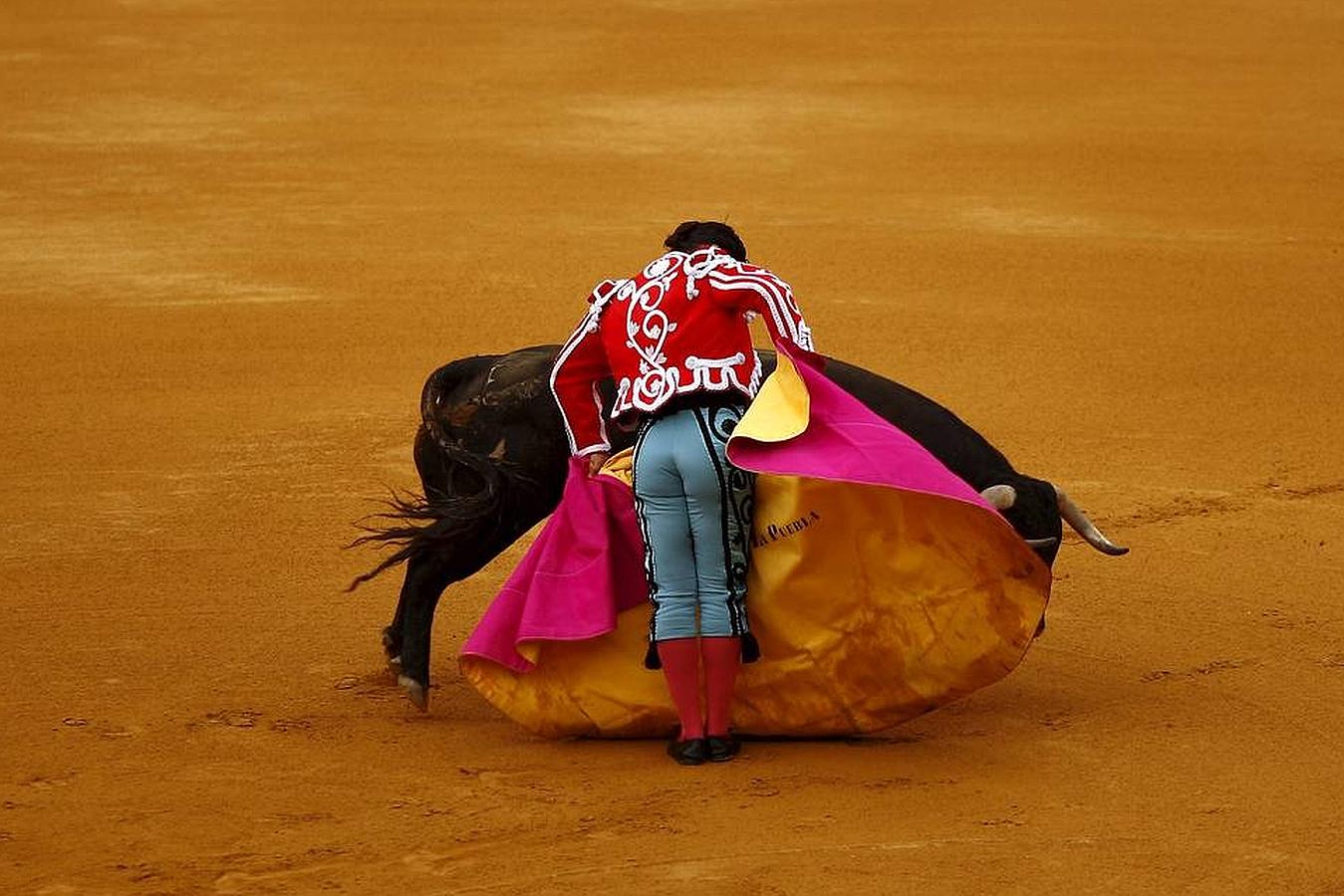 La cosecha 2015 de Morante, foto a foto