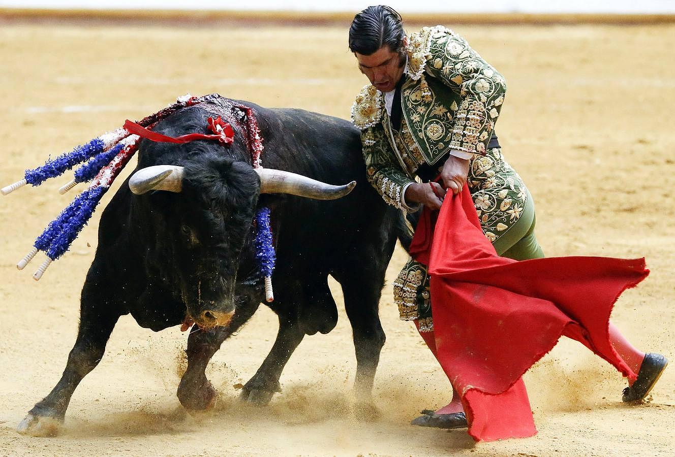 La cosecha 2015 de Morante, foto a foto