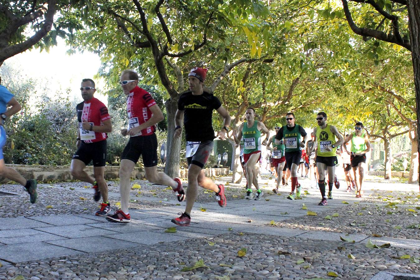 La carrera medio maratón Cigarra Toledana, en imágenes