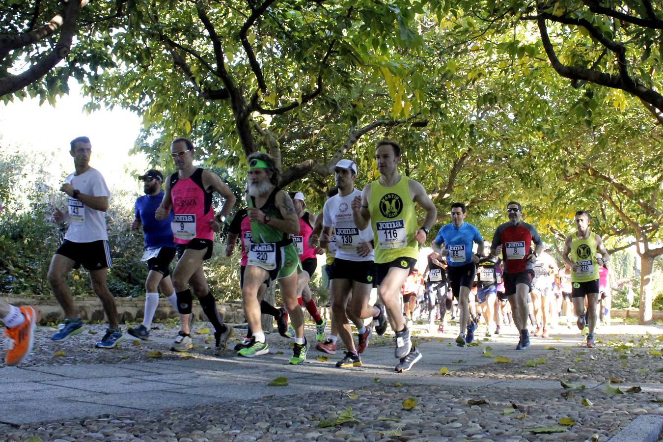 La carrera medio maratón Cigarra Toledana, en imágenes