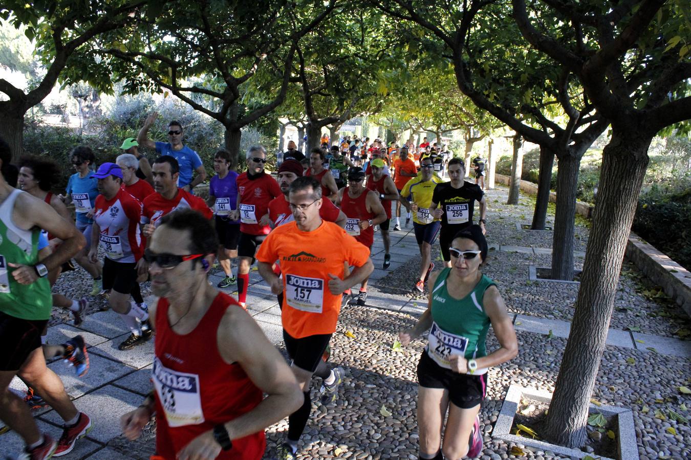 La carrera medio maratón Cigarra Toledana, en imágenes