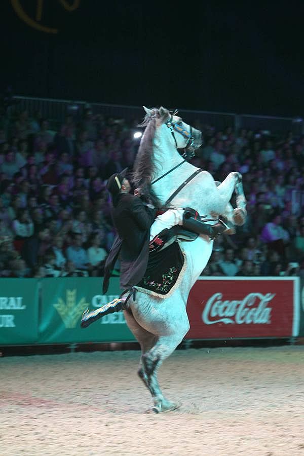 Abre sus puertas el Salón Internacional del Caballo en Sevilla