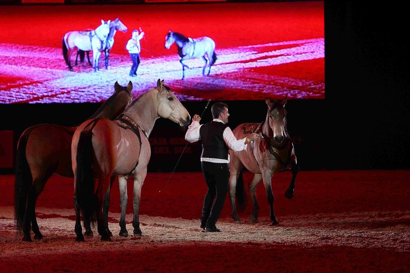 Abre sus puertas el Salón Internacional del Caballo en Sevilla