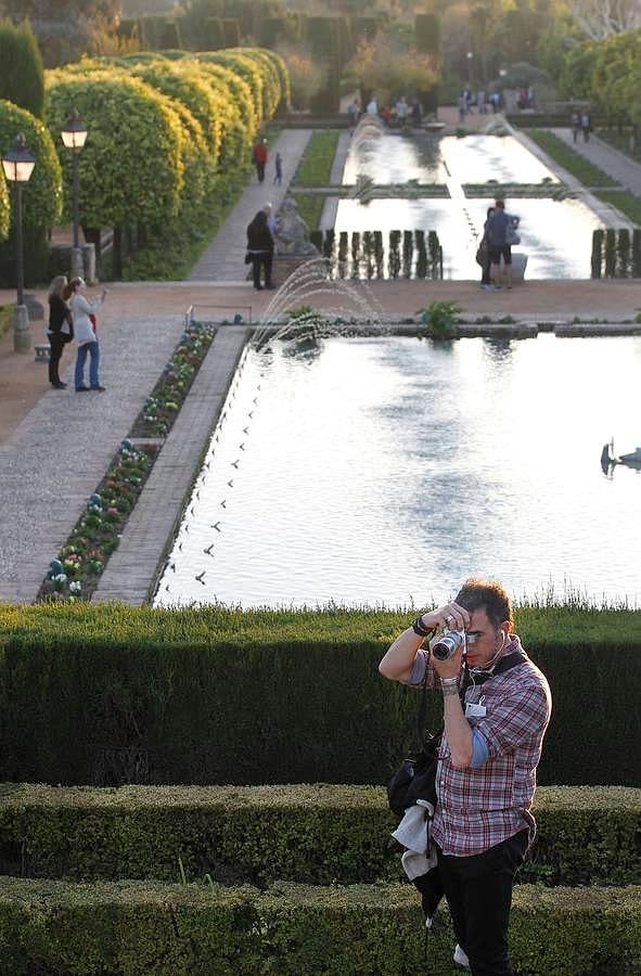 En imágenes, la jornada de puertas abiertas en los museos de Córdoba