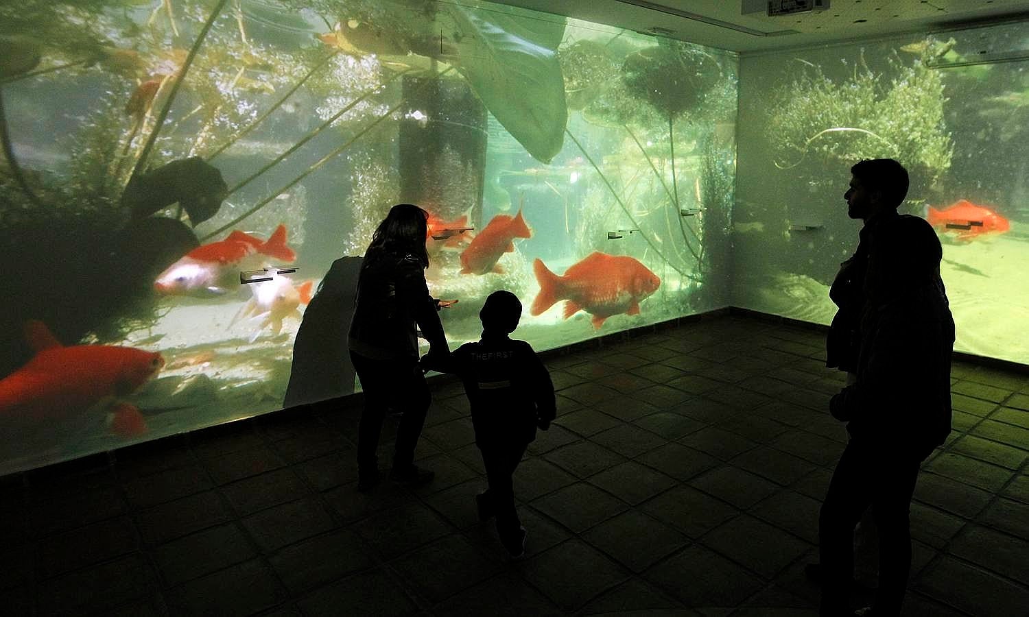 En imágenes, la jornada de puertas abiertas en los museos de Córdoba