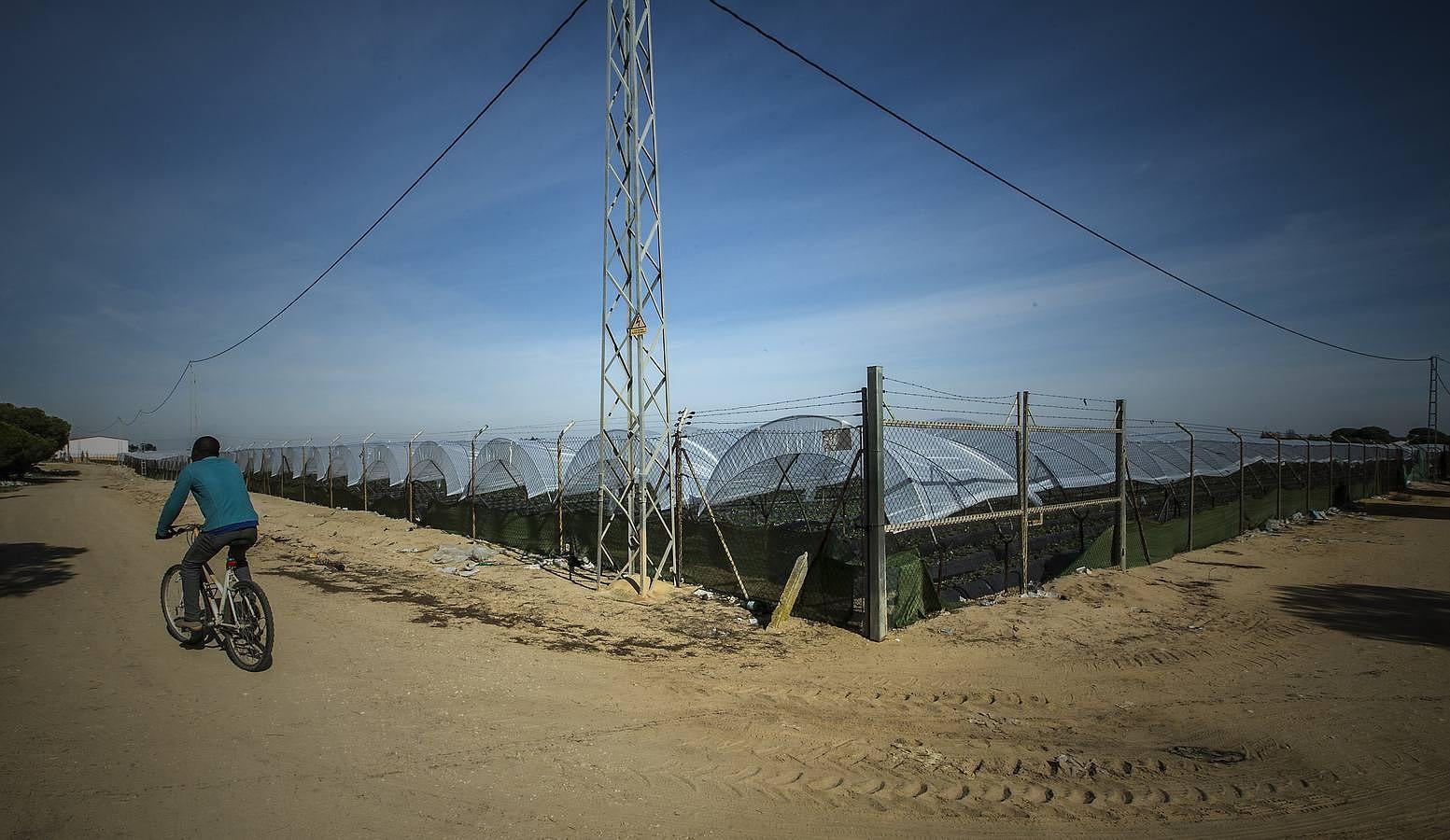 Así se vive en los campamentos de la fresa de Huelva