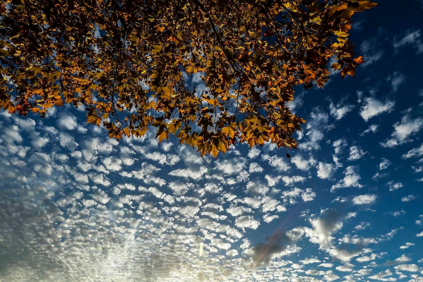 Luces de otoño en Sevilla