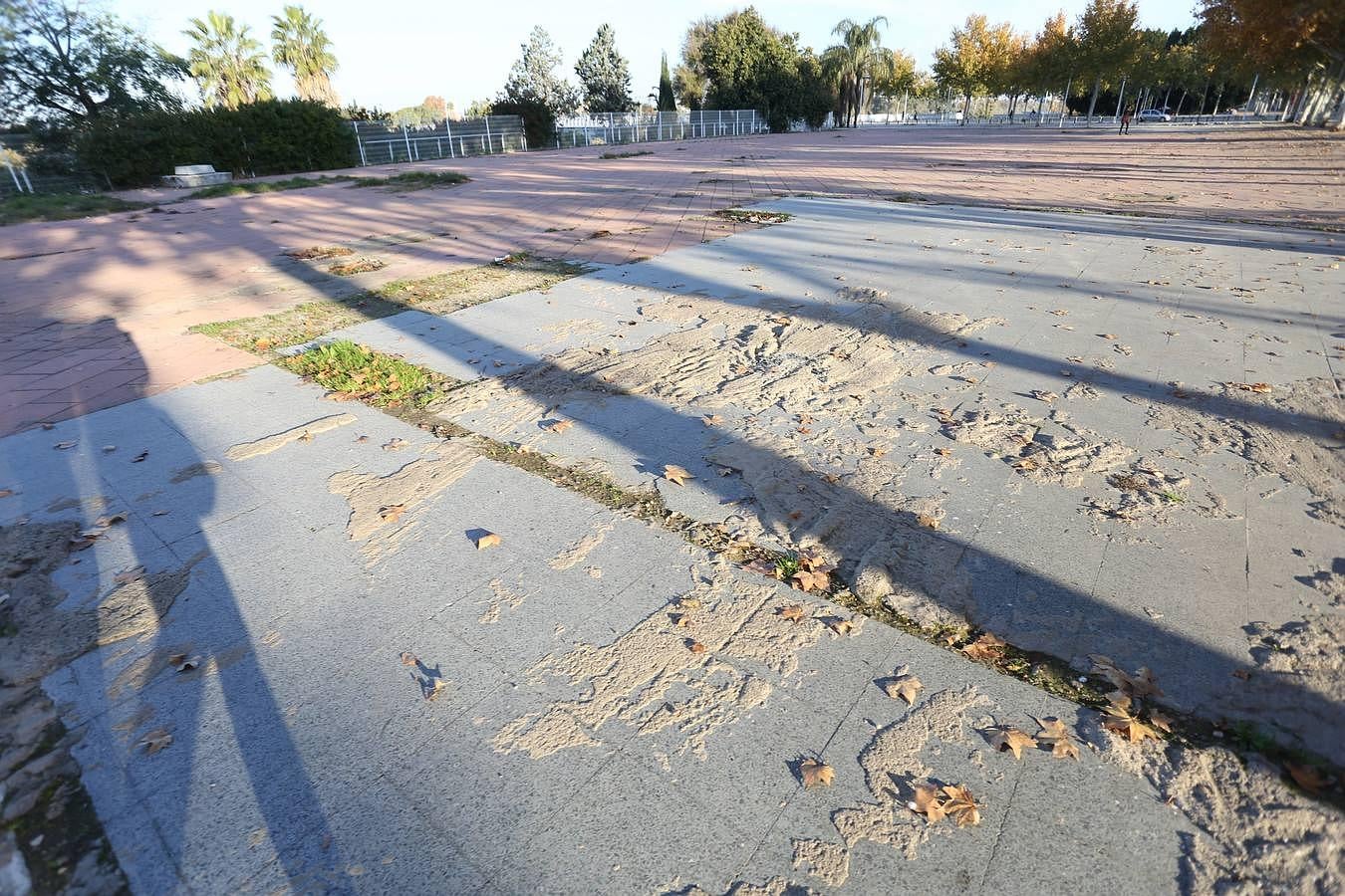 Torneo, un monumento a la desidia