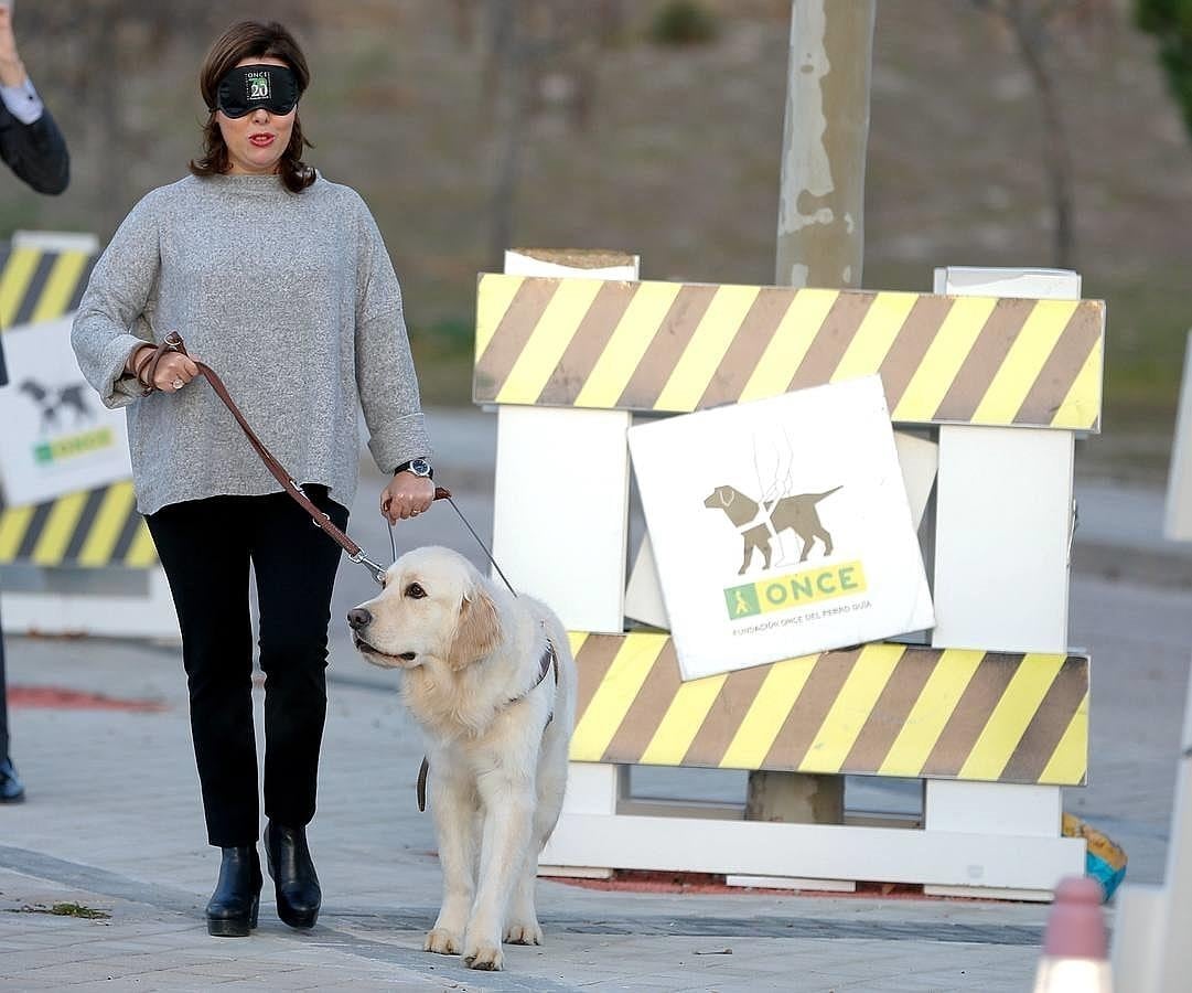 La vicepresidenta del Gobierno, Soraya Sáenz de Santamaría, realiza un recorrido con los ojos vendados acompañada de un perro guía durante su visita a la Fundación perros guía de la ONCE