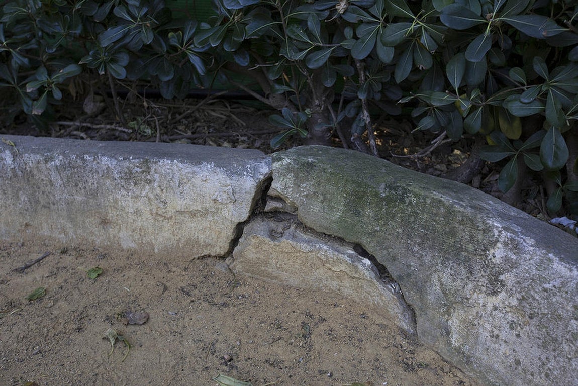 Abandono de los parques y jardines en Cádiz