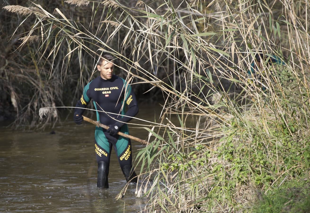 4.. Un buzo de la Unidad Subacuática de la Guardia Civil (GEAS) rastrea el río Guadarrama