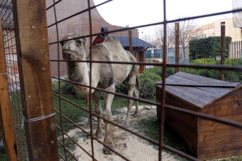 El Belén de la Caja Rural, en imágenes