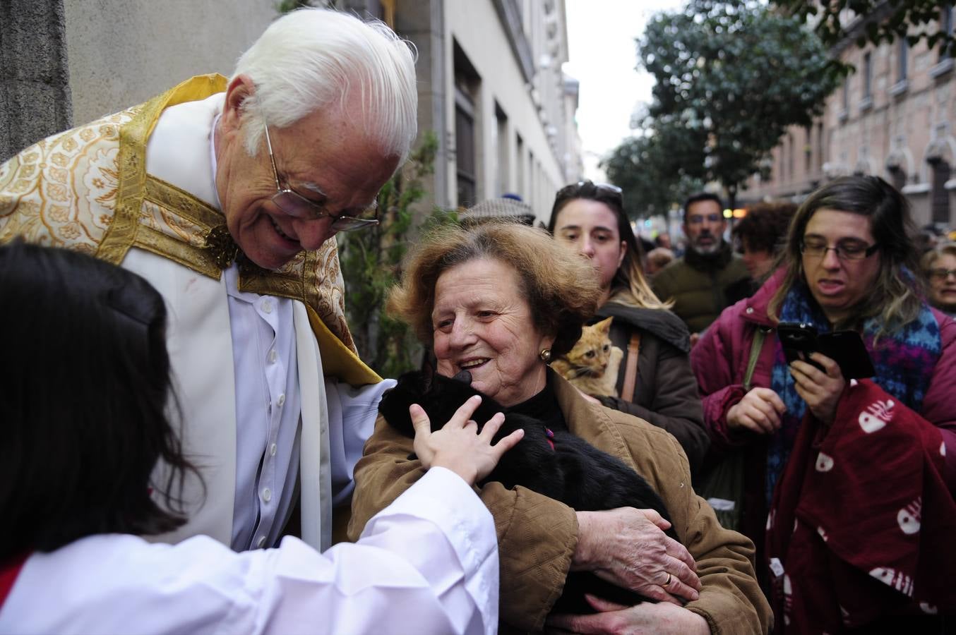 La misa de San Antón, en imágenes