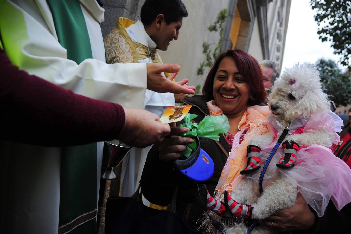 La misa de San Antón, en imágenes