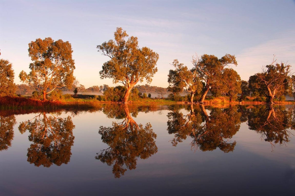 Día Internacional de los Humedales. Para fomentar la participación de los jóvenes, la Convención Ramsar ha organizado un concurso de fotografía desde el 2 de febrero hasta el 2 de marzo en el que puede participar cualquier persona de entre 15 y 24 años de edad