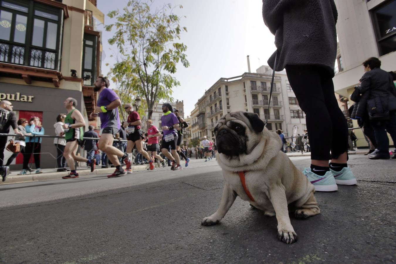 El Zurich Maratón de Sevilla 2016, en imágenes