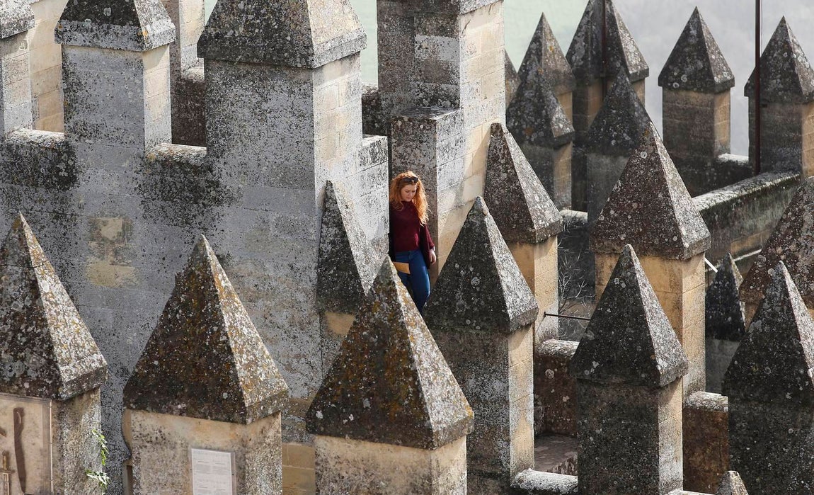 El Castillo de Almodóvar, en imágenes