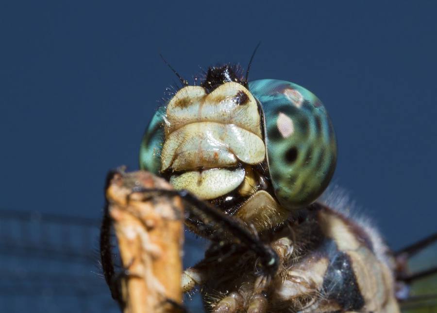 Las mejores fotos de Naturaleza. 