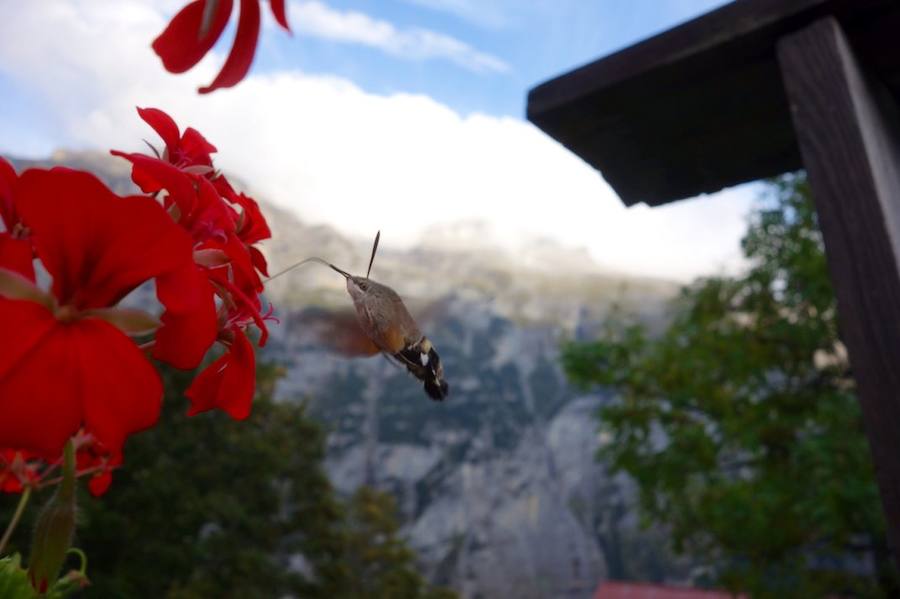 Las mejores fotos de Naturaleza. 