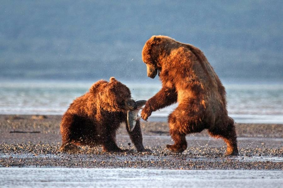Las mejores fotos de Naturaleza. 