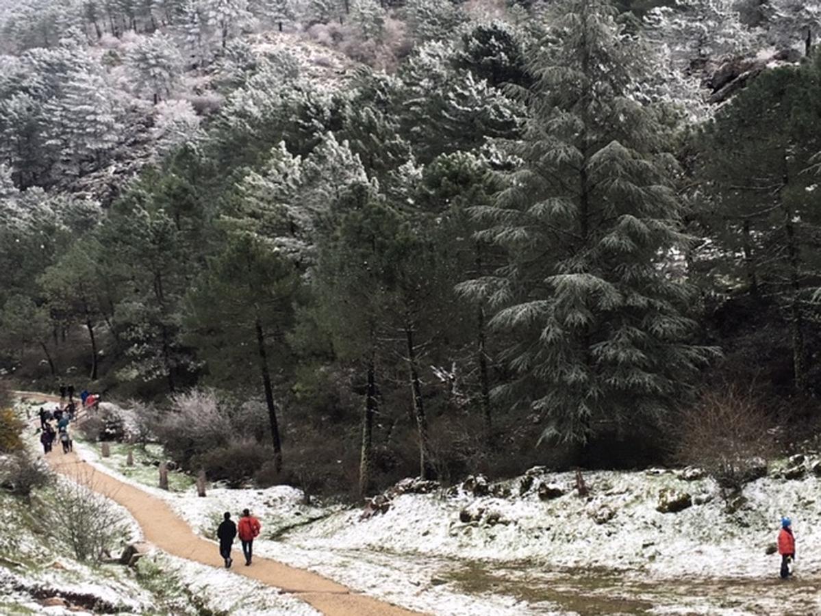 Grazalema y Villaluenga se tiñen de blanco