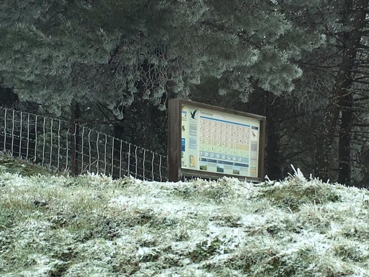 Grazalema y Villaluenga se tiñen de blanco