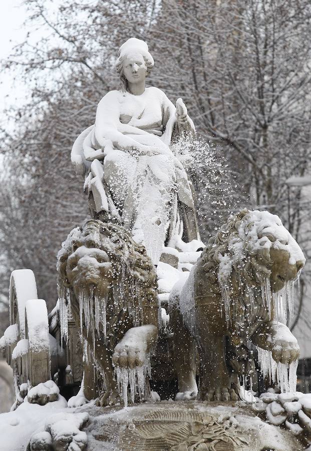 La Cibeles helada, 2010. 