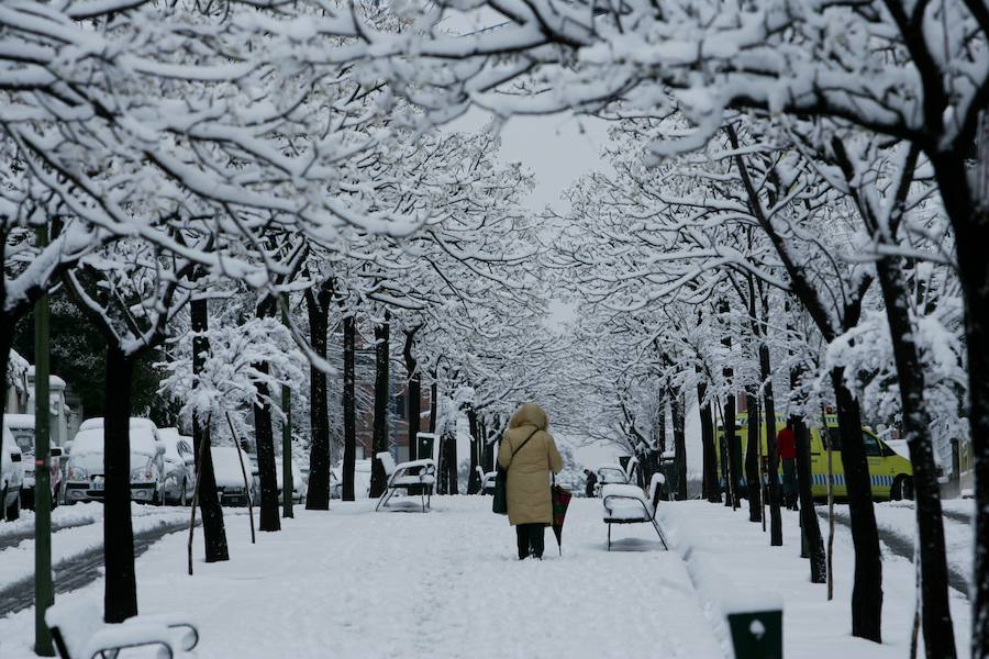 Madrid en blanco, 2005. 